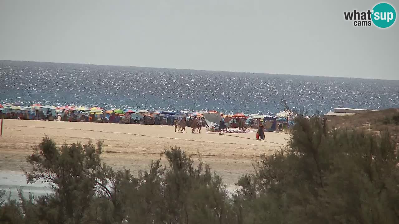 Webcam Chia – Live View of Su Giudeu Beach