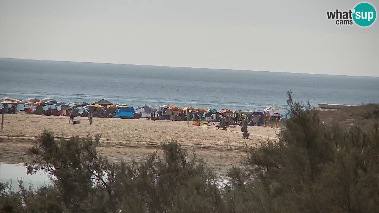 Webcam Chia – Live View of Su Giudeu Beach
