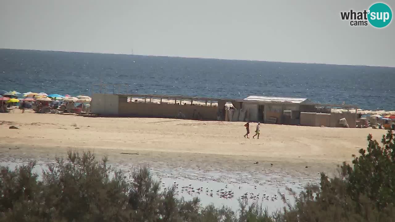 Webcam Chia – Live View of Su Giudeu Beach