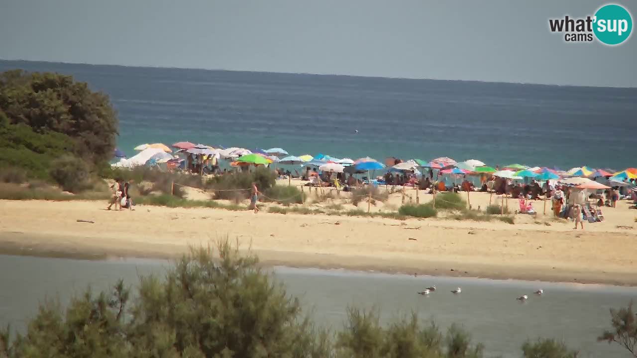 Webcam Chia – Live View of Su Giudeu Beach