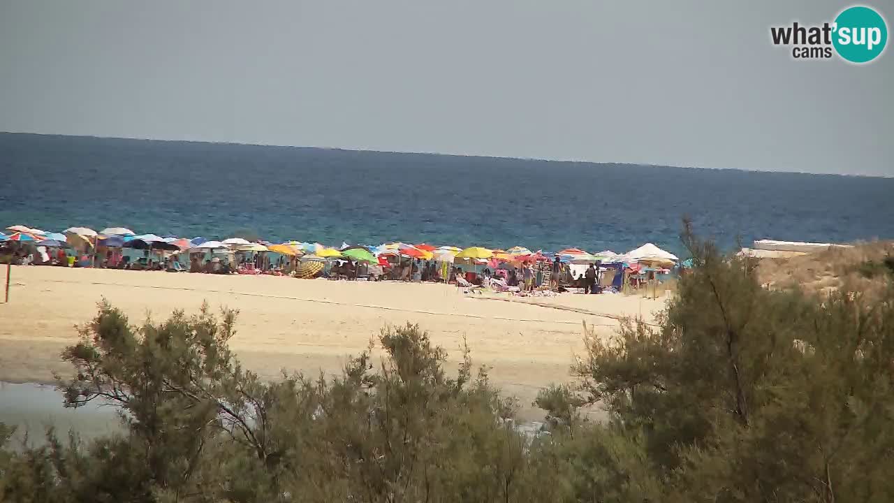 Webcam Chia – Live View of Su Giudeu Beach