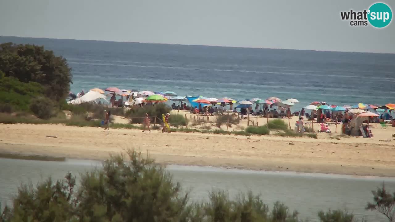 Webcam Chia – Live View of Su Giudeu Beach
