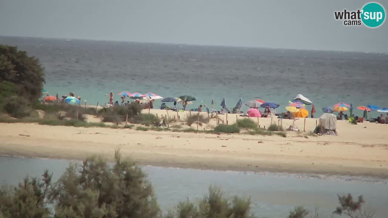 Webcam Chia – Spiaggia Su Giudeu in diretta