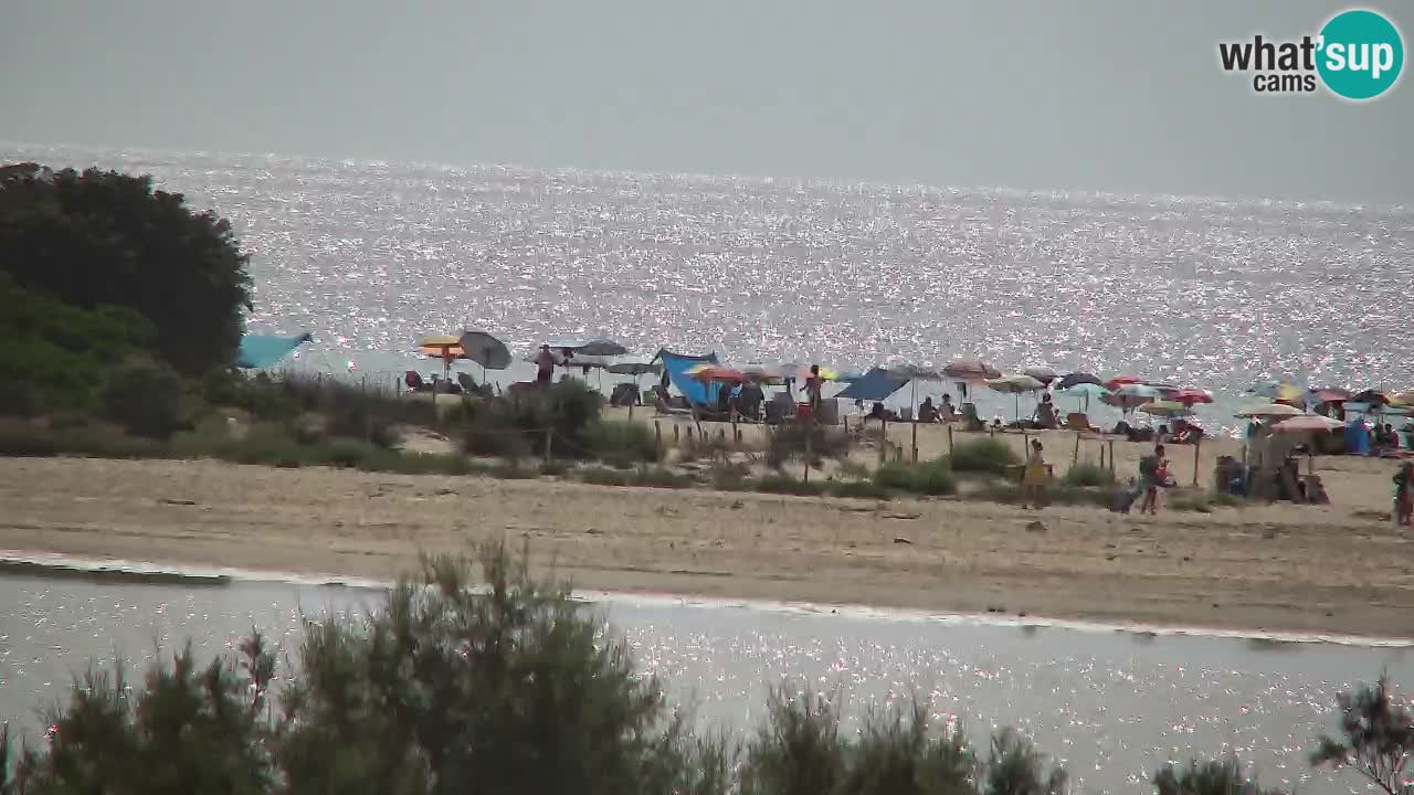 Spletna kamera Chia – Pogled v živo na plažo Su Giudeu