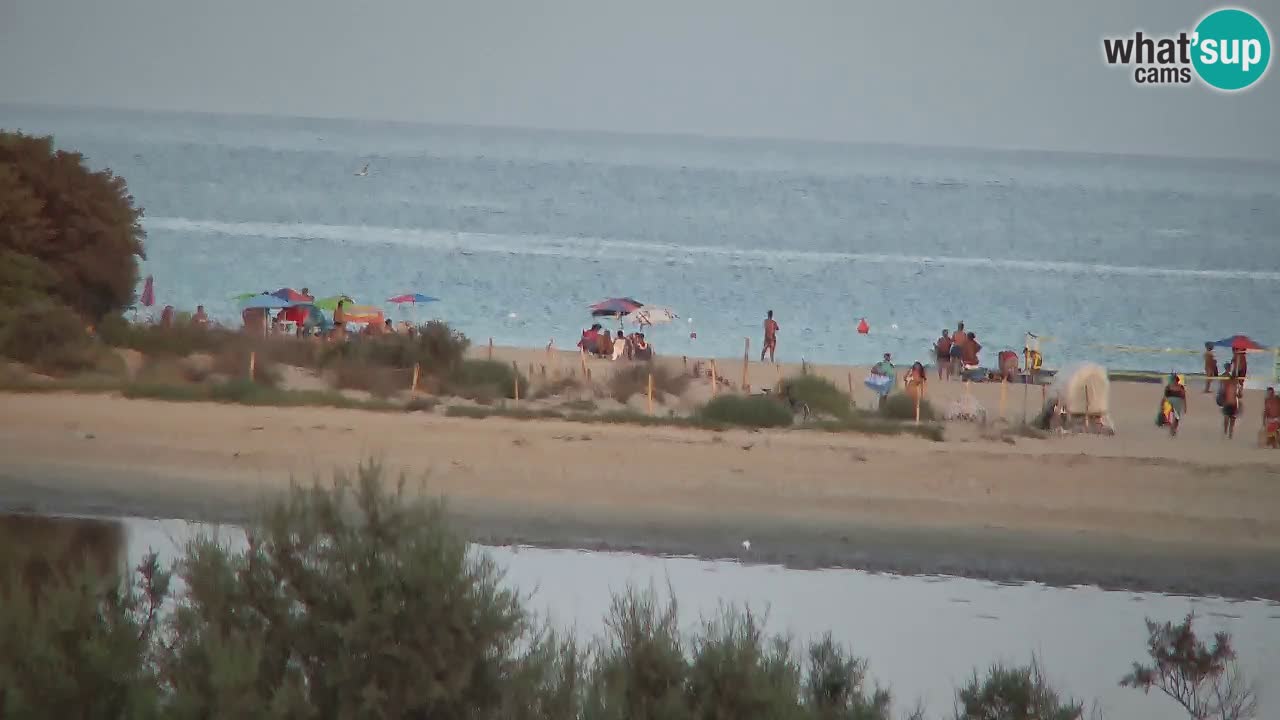 Webcam Chia – Live View of Su Giudeu Beach