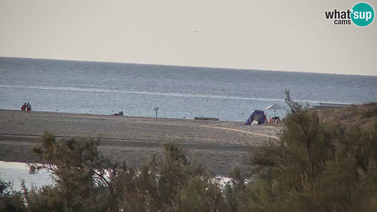 Webcam Chia – Live View of Su Giudeu Beach