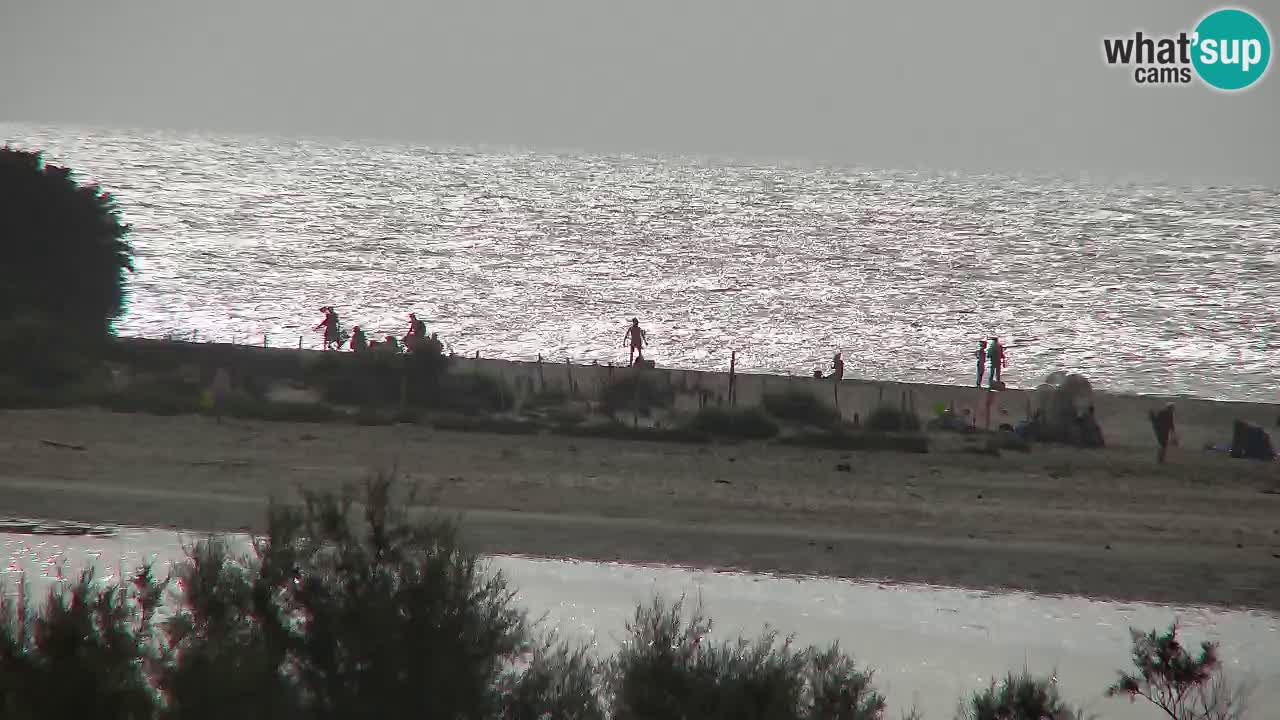 Webcam Chia – Live View of Su Giudeu Beach