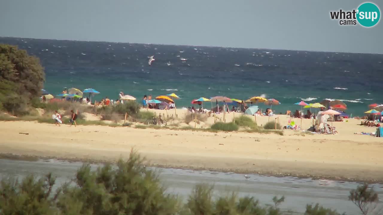 Webcam Chia – Live View of Su Giudeu Beach