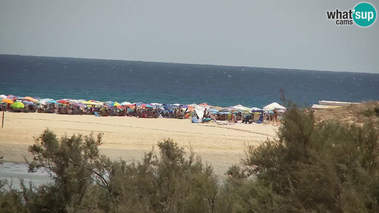 Webcam Chia – Live View of Su Giudeu Beach