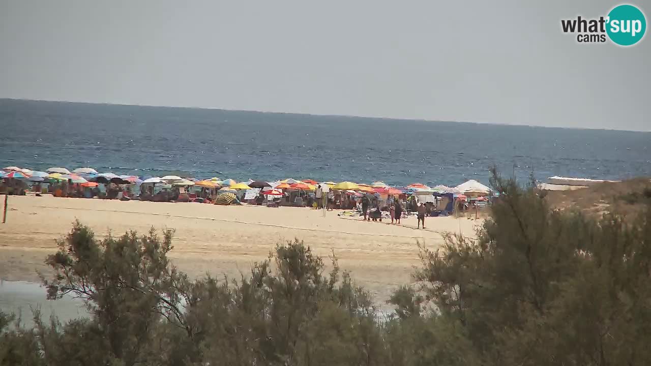 Webcam Chia – Vue en direct de la plage Su Giudeu