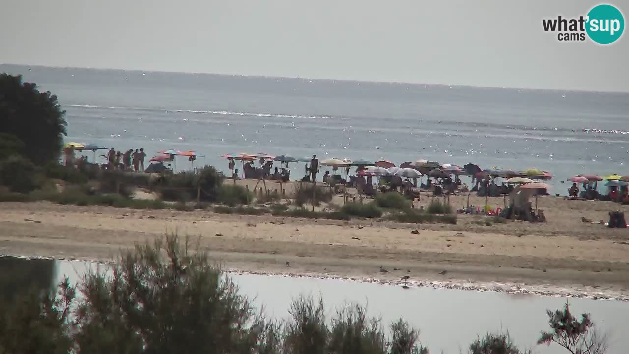 Webcam Chia – Live View of Su Giudeu Beach