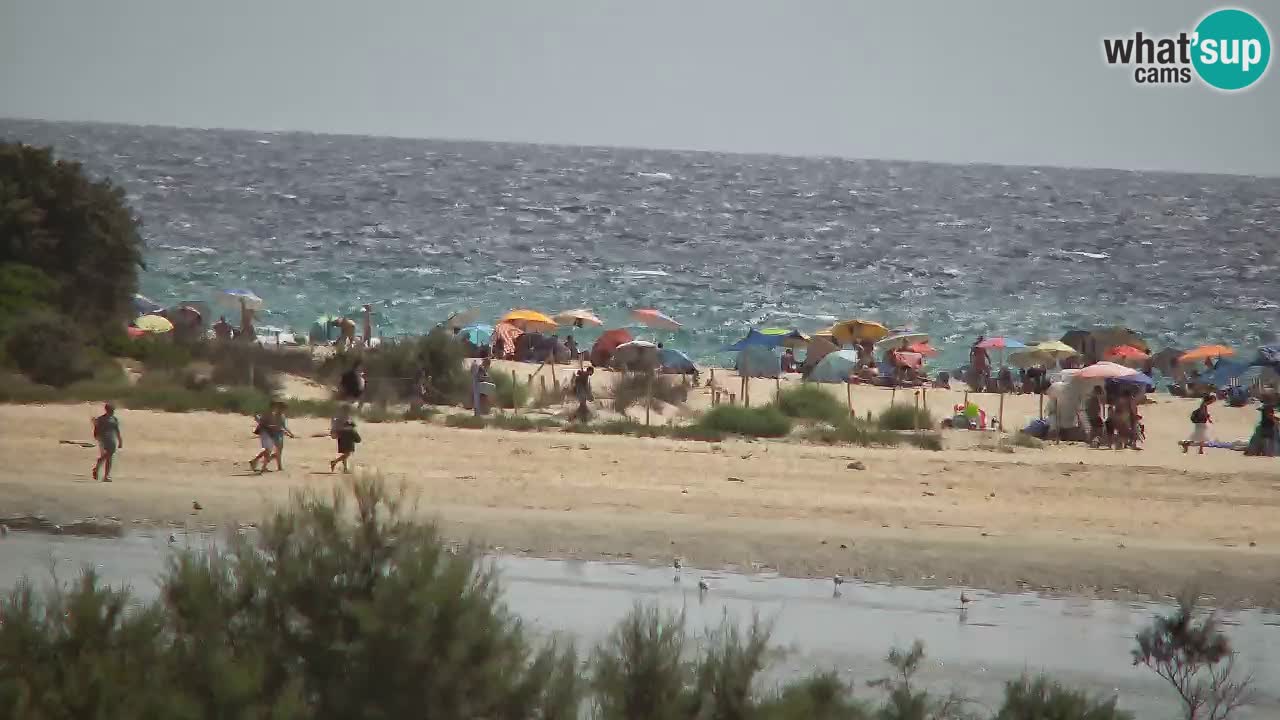 Webcam Chia – Vue en direct de la plage Su Giudeu