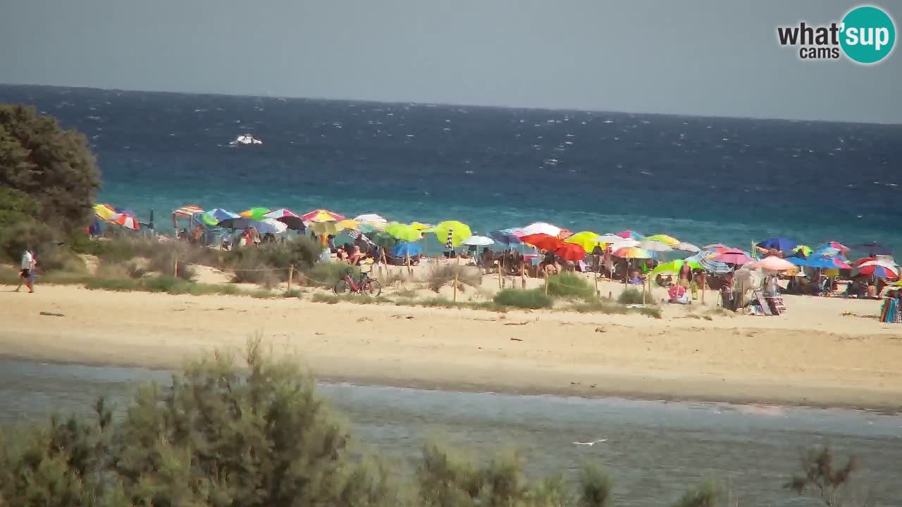 Webcam Chia – Liveblick auf den Strand Su Giudeu