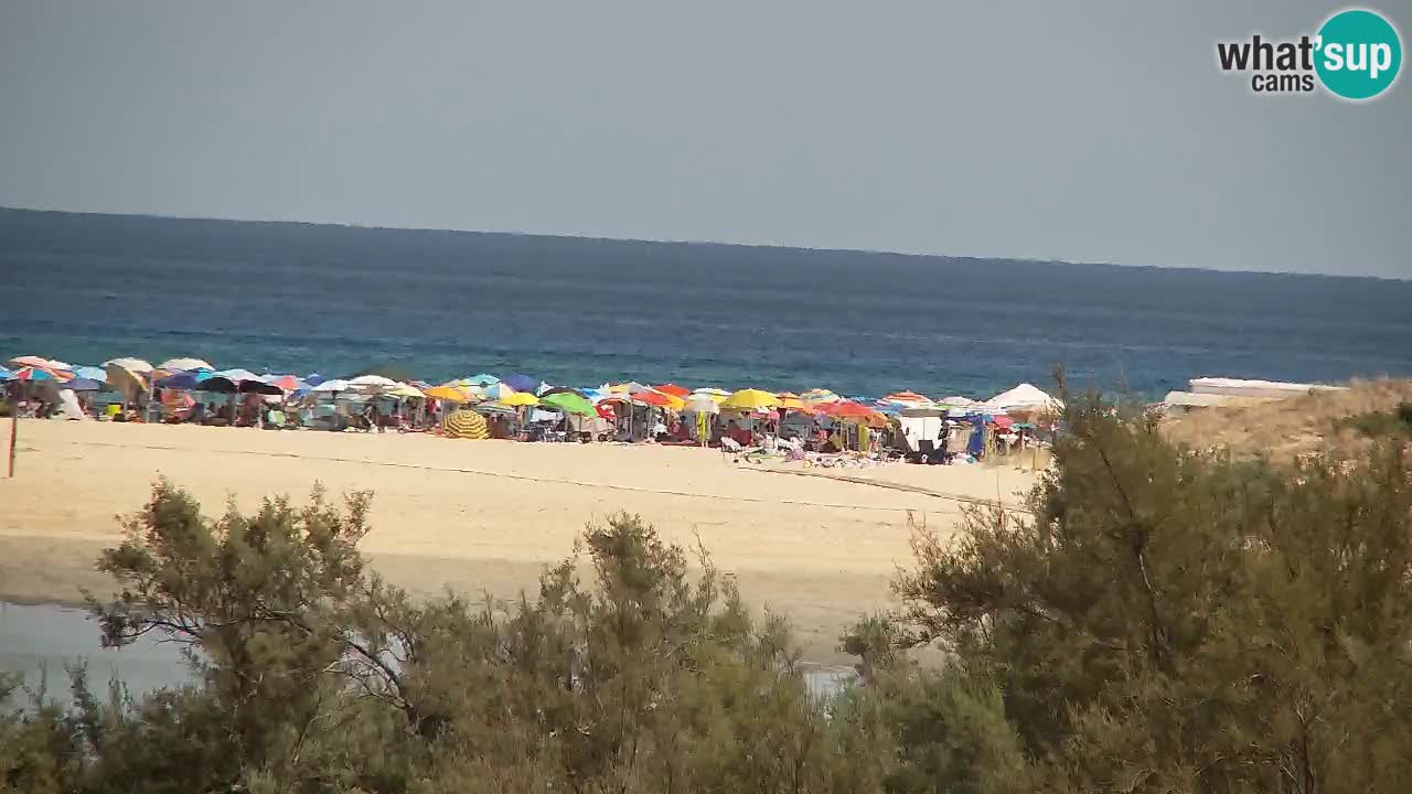 Webcam Chia – Live View of Su Giudeu Beach