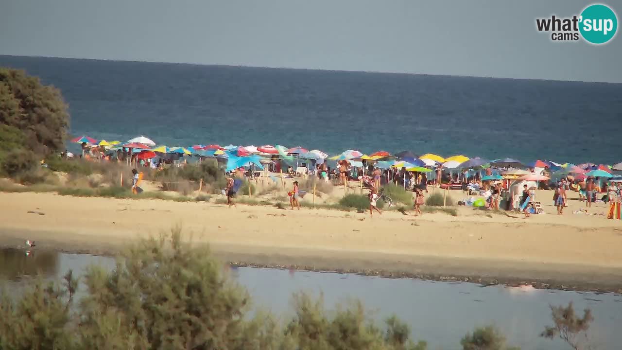 Webcam Chia – Live View of Su Giudeu Beach