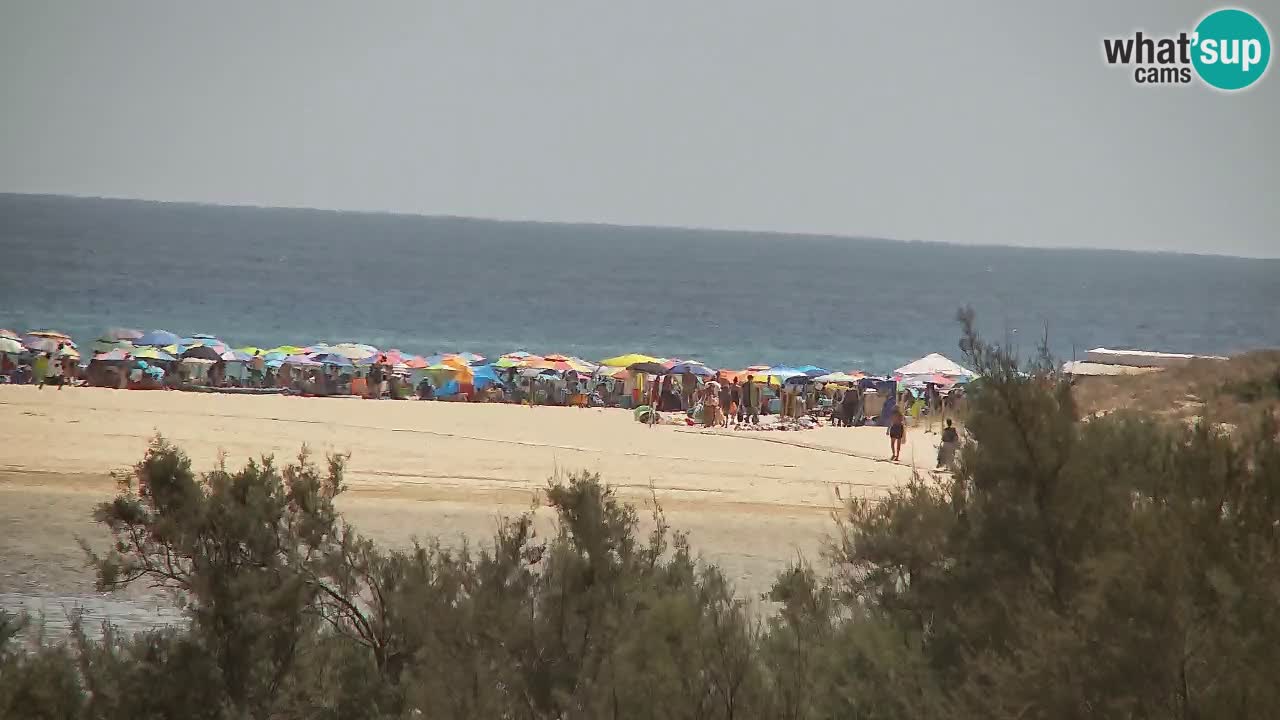 Webcam Chia – Live View of Su Giudeu Beach
