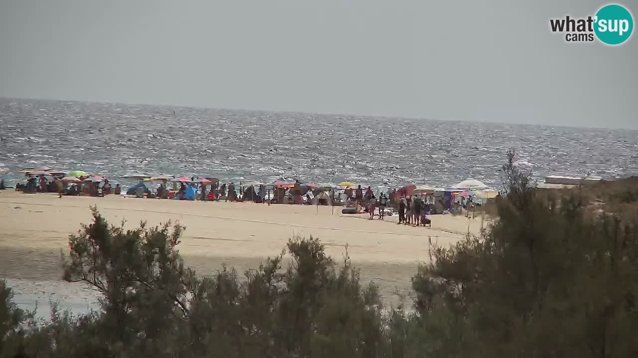 Webcam Chia – Live View of Su Giudeu Beach