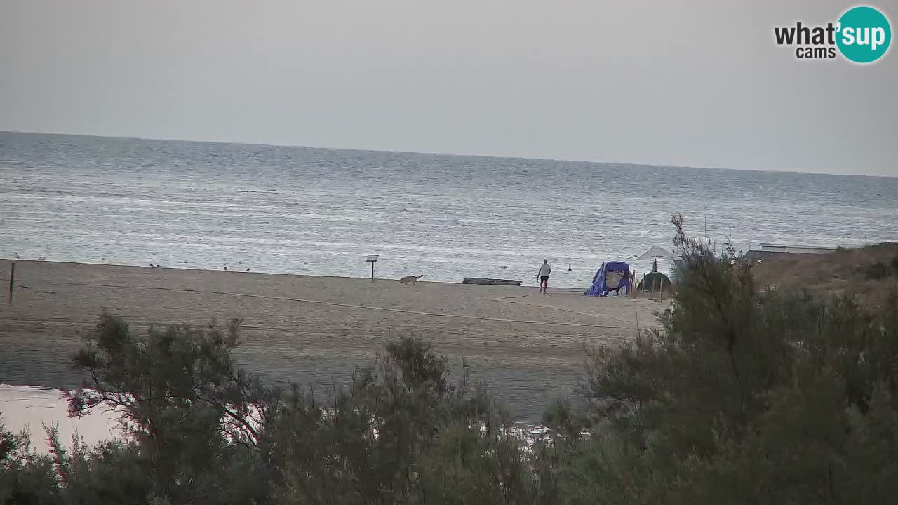 Webcam Chia – Live View of Su Giudeu Beach