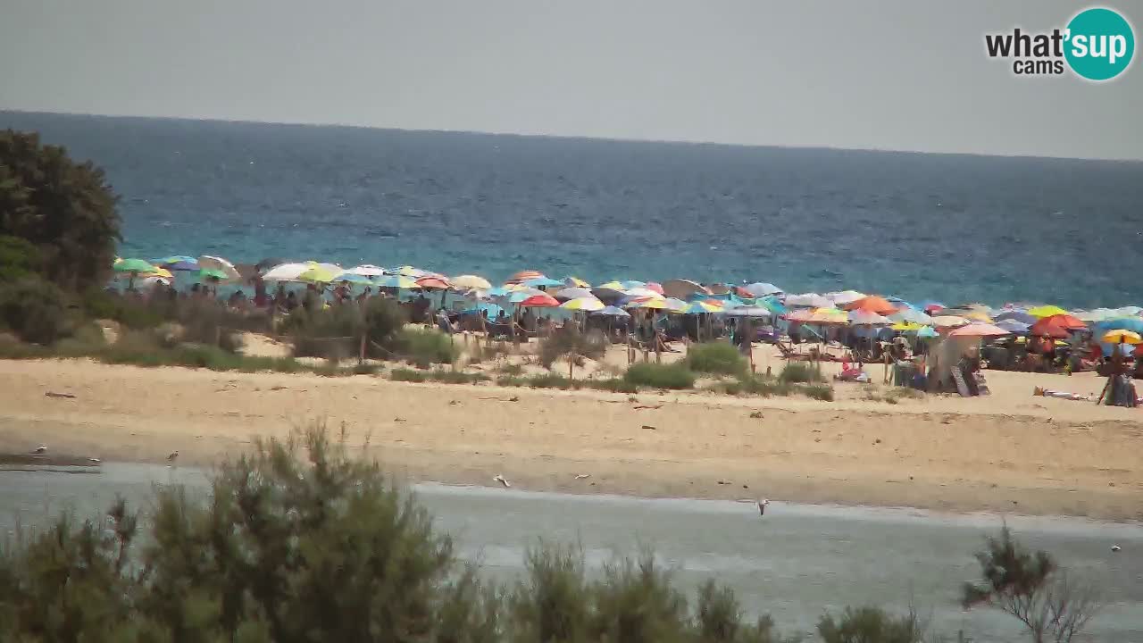 Webcam Chia – Vue en direct de la plage Su Giudeu