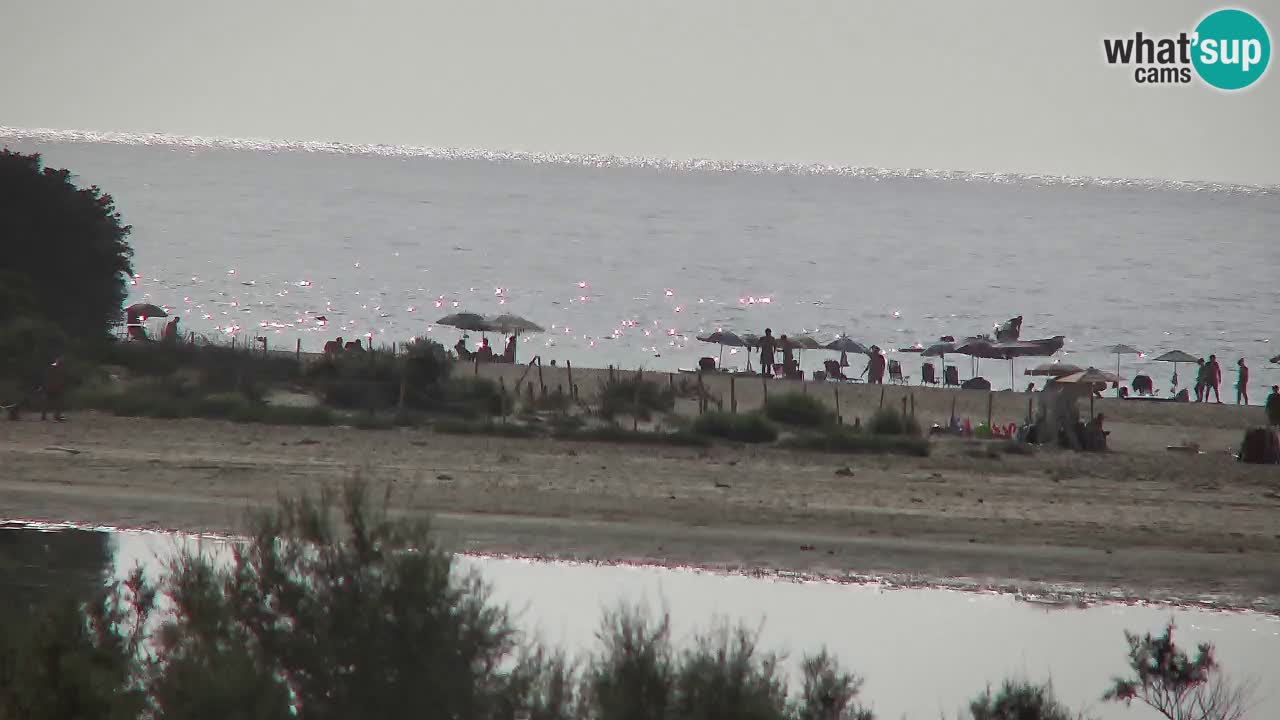 Webcam Chia – Liveblick auf den Strand Su Giudeu