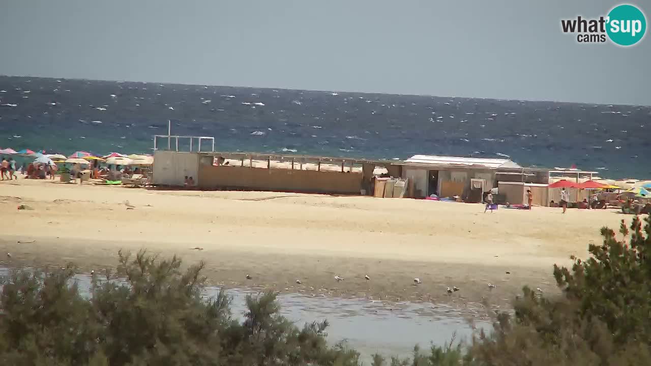 Webcam Chia – Live View of Su Giudeu Beach