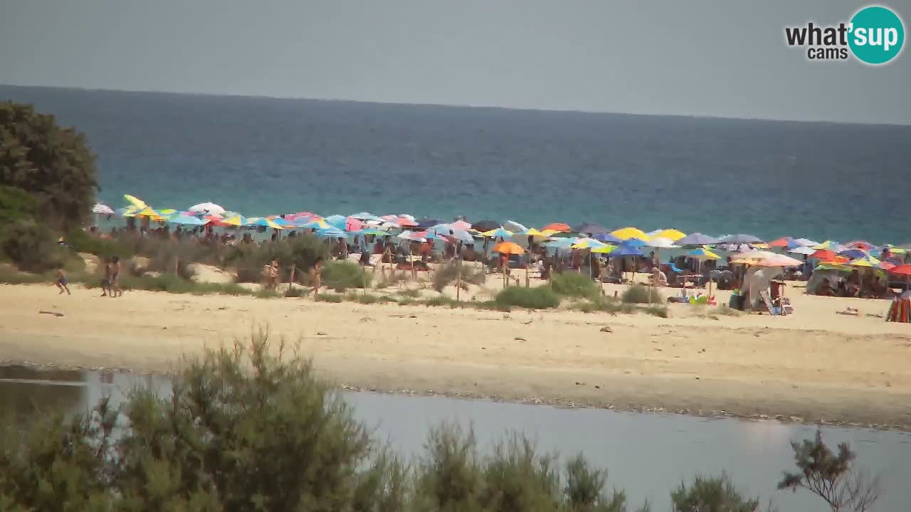 Webcam Chia – Spiaggia Su Giudeu in diretta