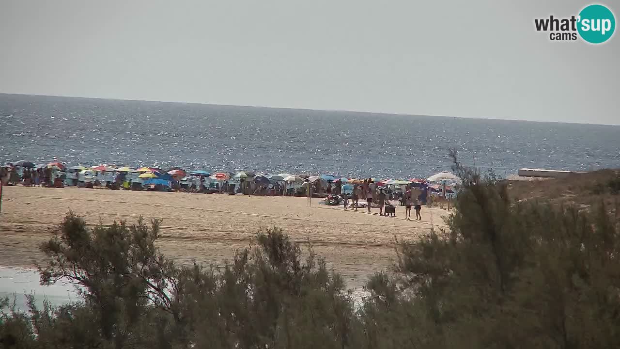 Webcam Chia – Vue en direct de la plage Su Giudeu
