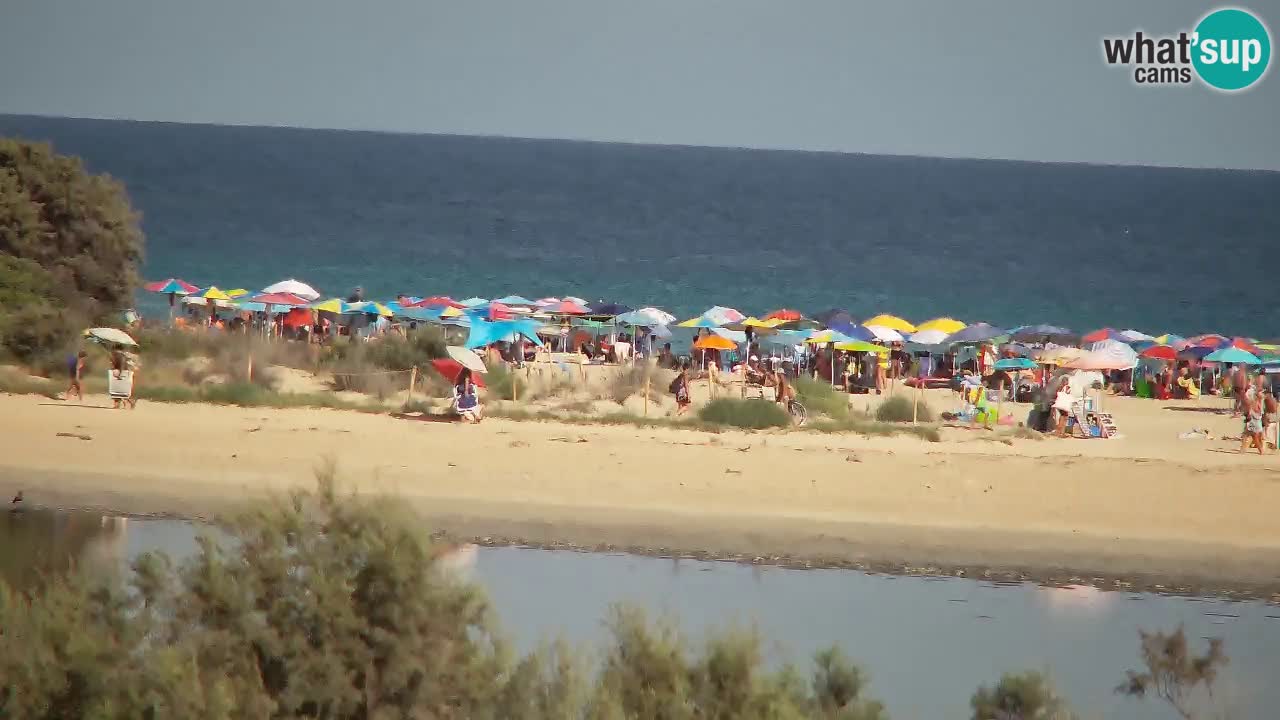 Webcam Chia – Liveblick auf den Strand Su Giudeu