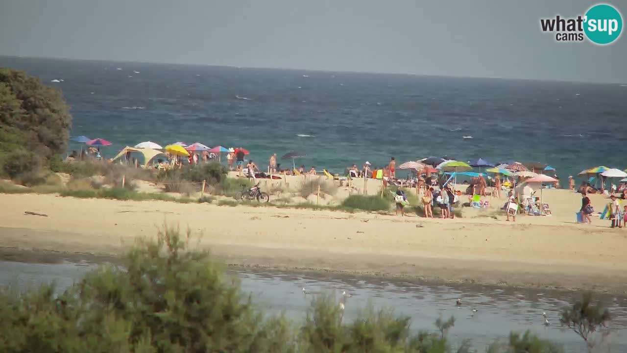 Web kamera Chia – Pogled uživo na plažu Su Giudeu
