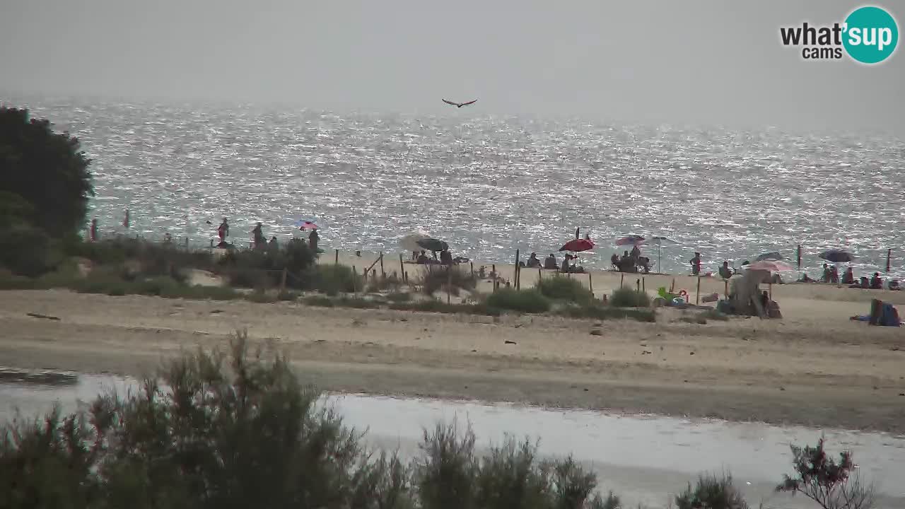 Webcam Chia – Vue en direct de la plage Su Giudeu