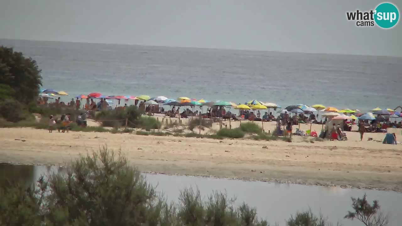 Webcam Chia – Spiaggia Su Giudeu in diretta