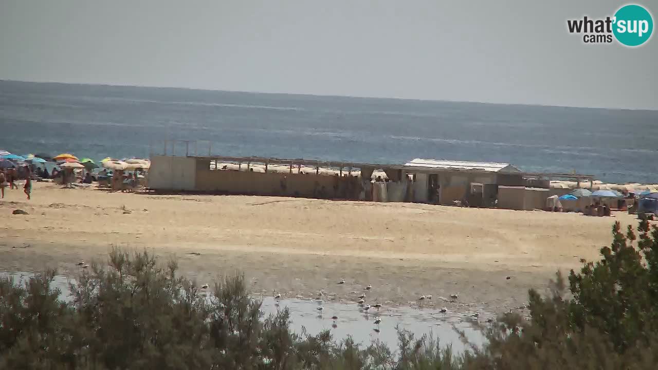Webcam Chia – Live View of Su Giudeu Beach