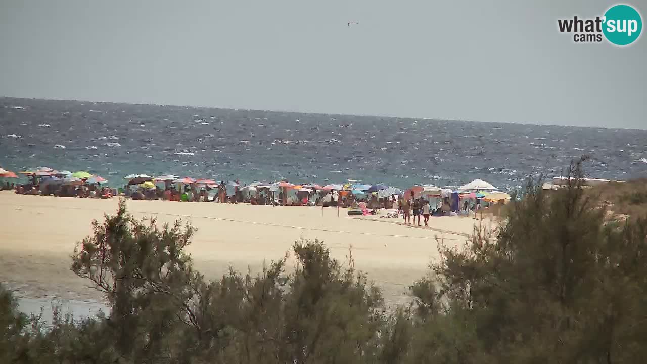 Webcam Chia – Live View of Su Giudeu Beach