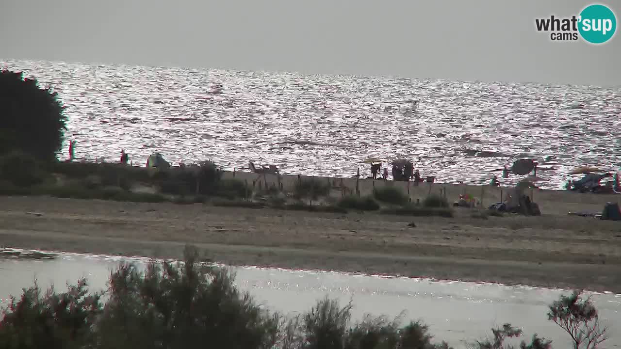 Webcam Chia – Live View of Su Giudeu Beach
