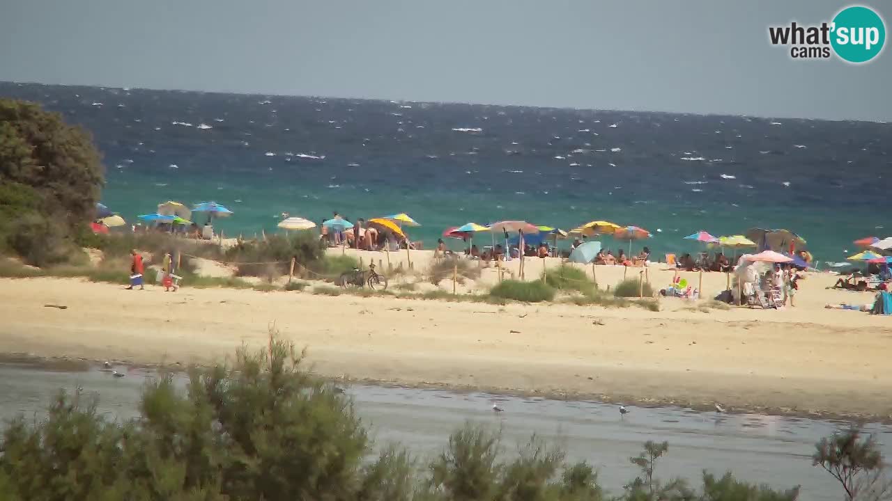 Webcam Chia – Live View of Su Giudeu Beach