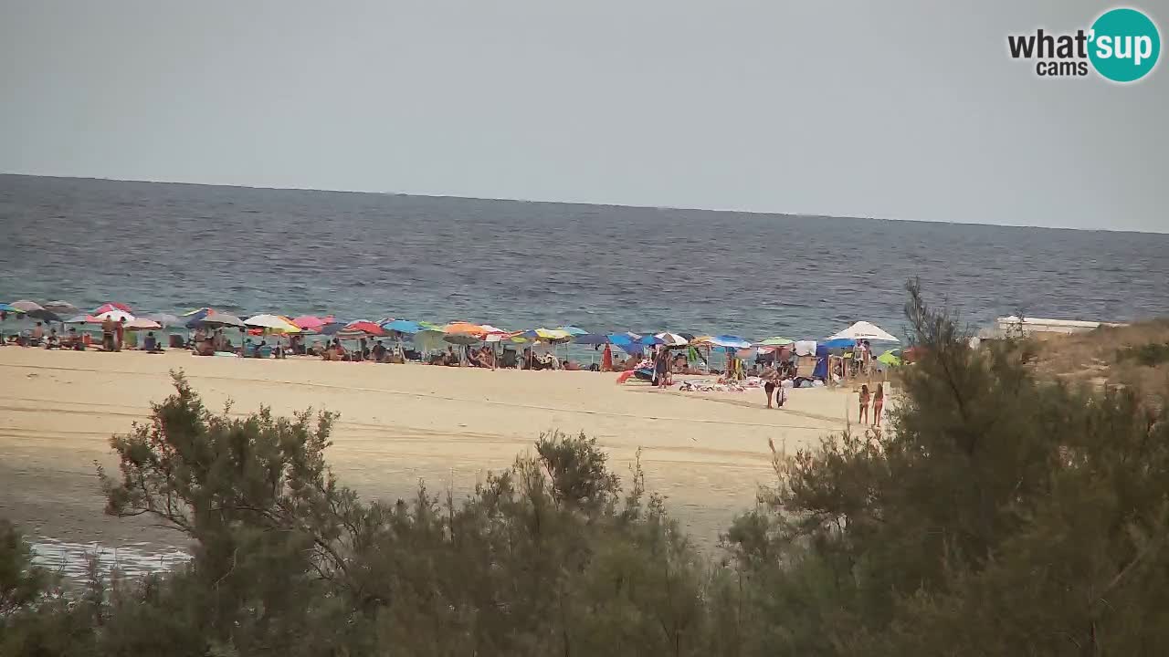 Webcam Chia – Live View of Su Giudeu Beach