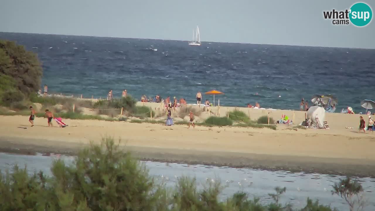 Webcam Chia – Live View of Su Giudeu Beach