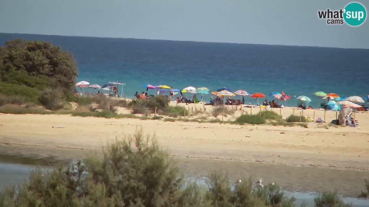 Webcam Chia – Vue en direct de la plage Su Giudeu