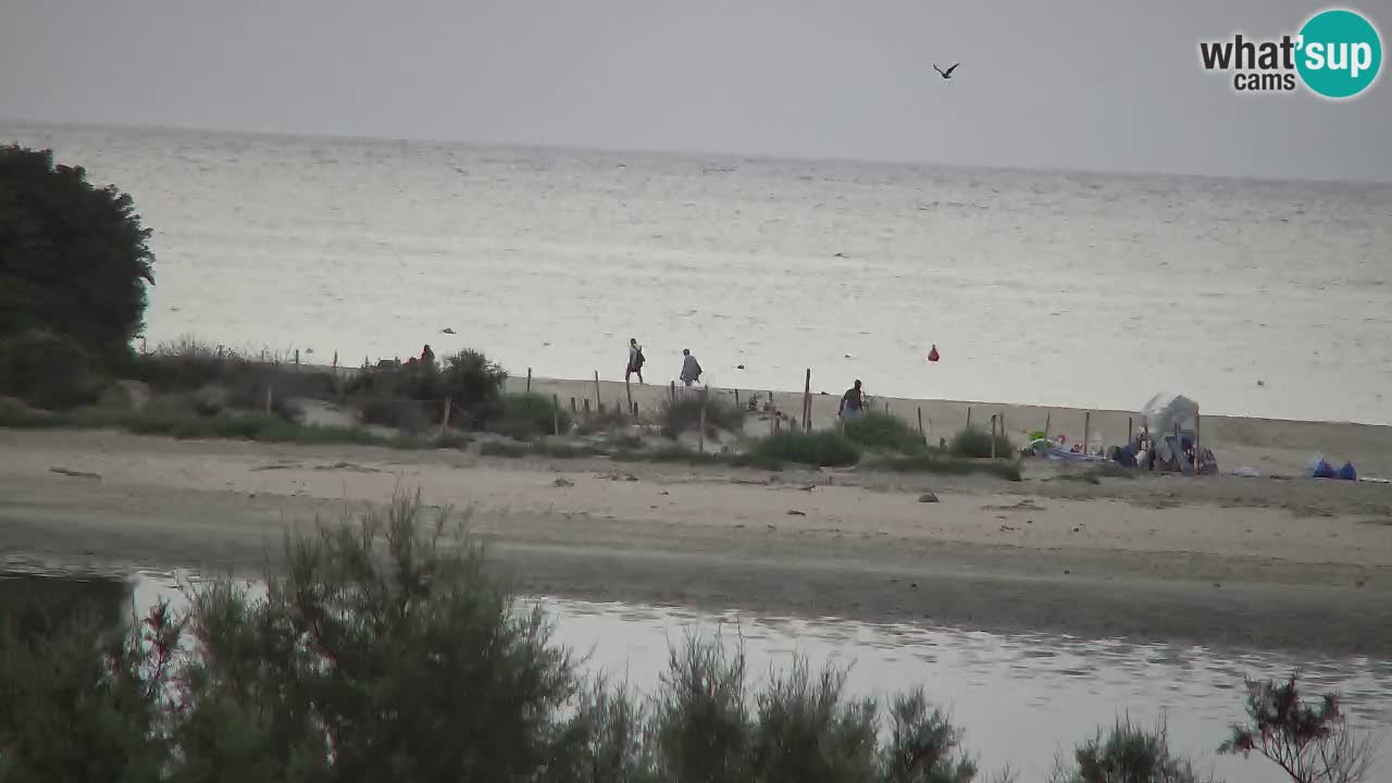 Webcam Chia – Vue en direct de la plage Su Giudeu