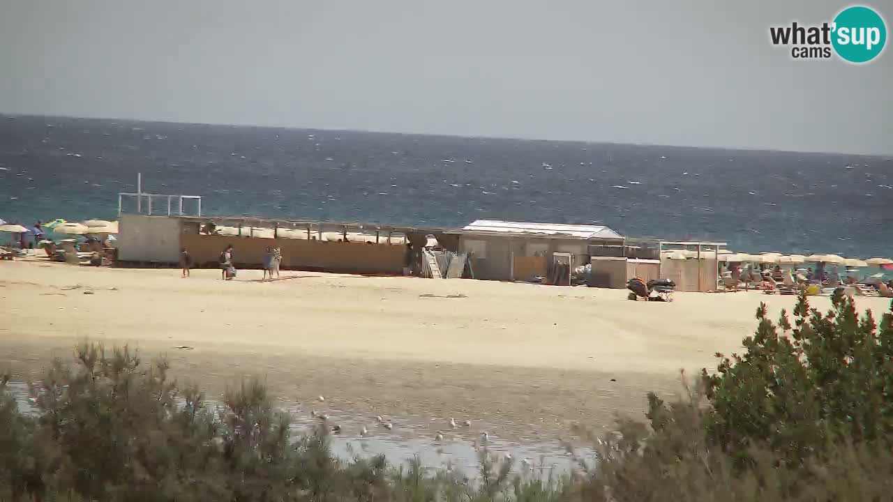 Spletna kamera Chia – Pogled v živo na plažo Su Giudeu