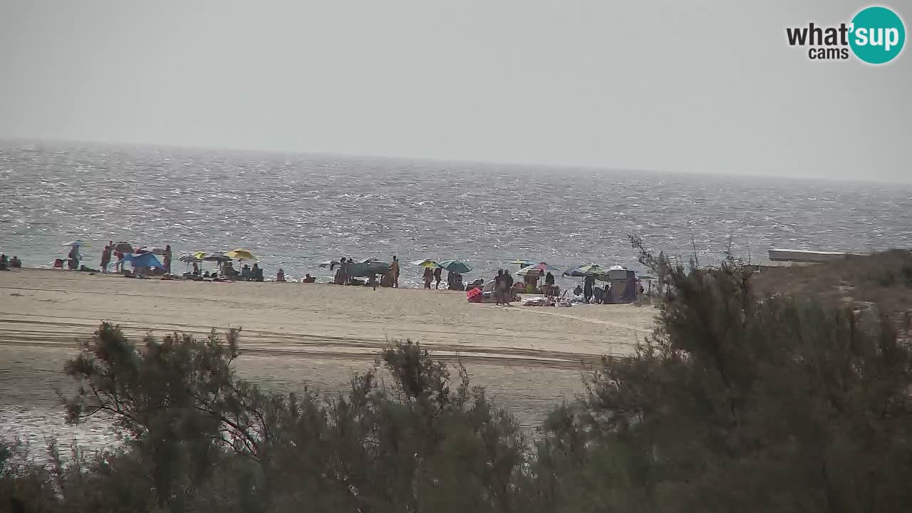 Webcam Chia – Live View of Su Giudeu Beach