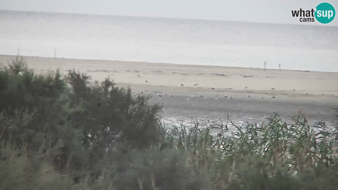 Webcam Chia – Liveblick auf den Strand Su Giudeu
