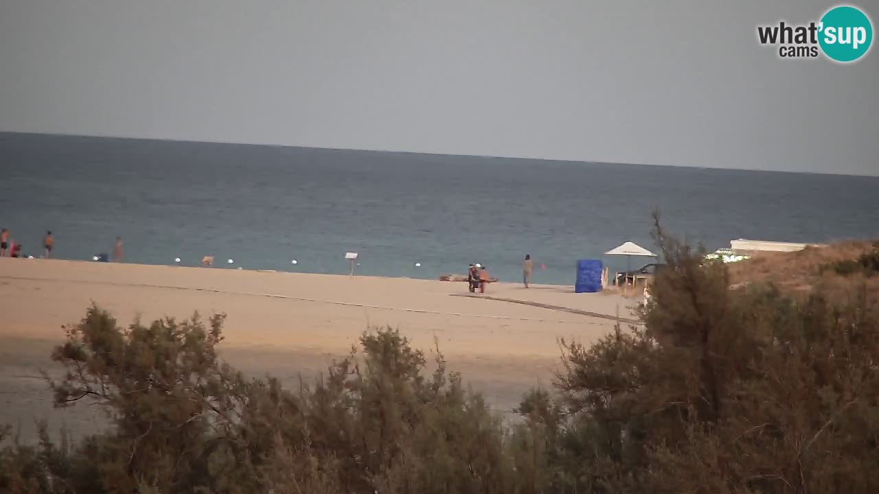 Webcam Chia – Live View of Su Giudeu Beach