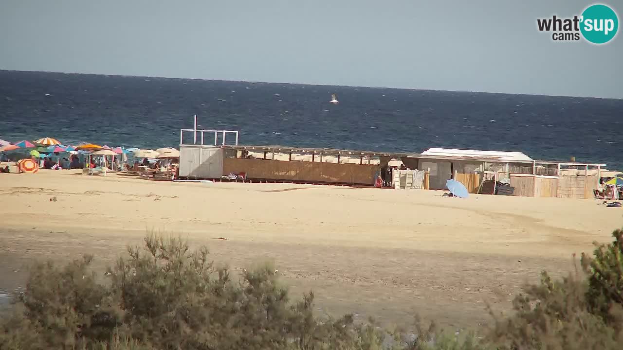 Webcam Chia – Liveblick auf den Strand Su Giudeu