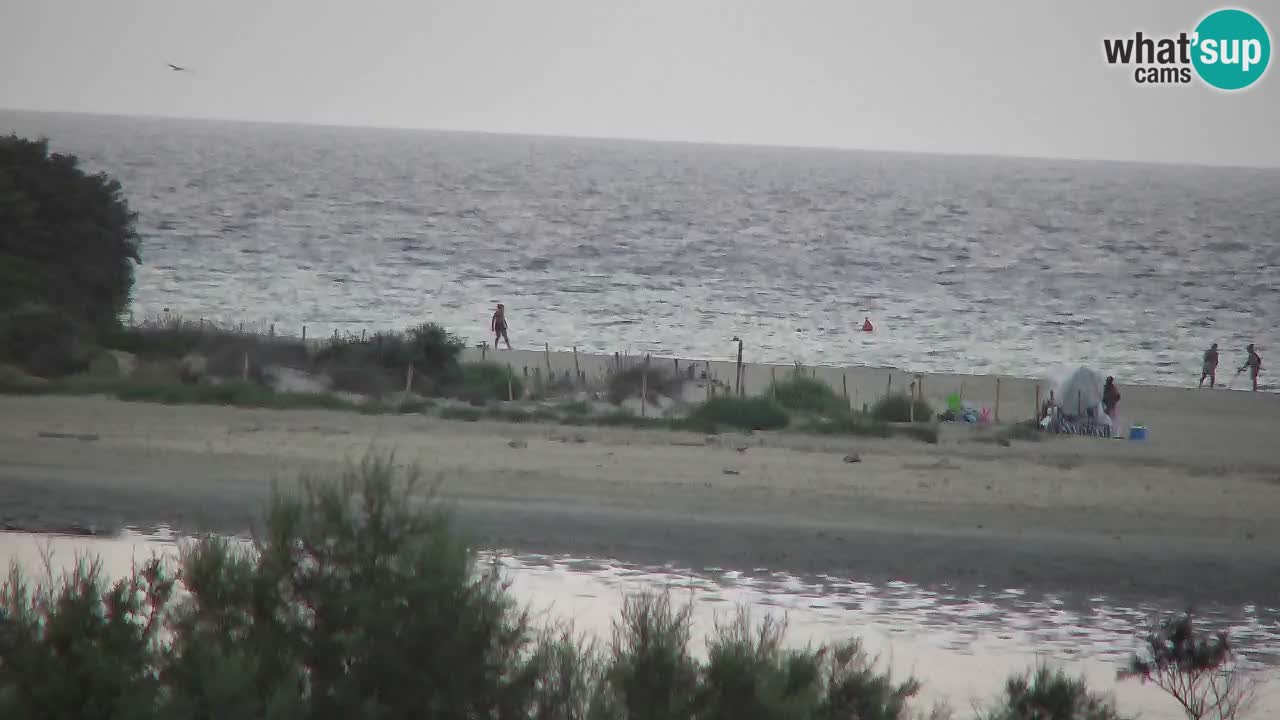 Web kamera Chia – Pogled uživo na plažu Su Giudeu
