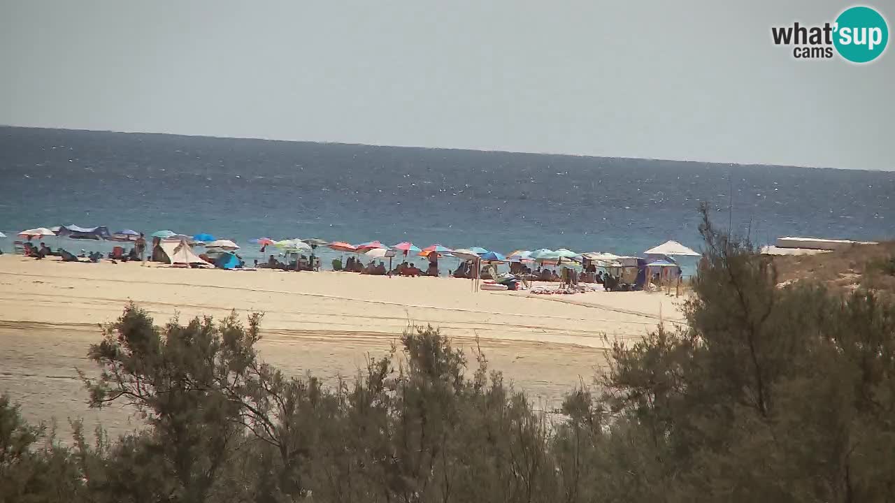 Webcam Chia – Live View of Su Giudeu Beach
