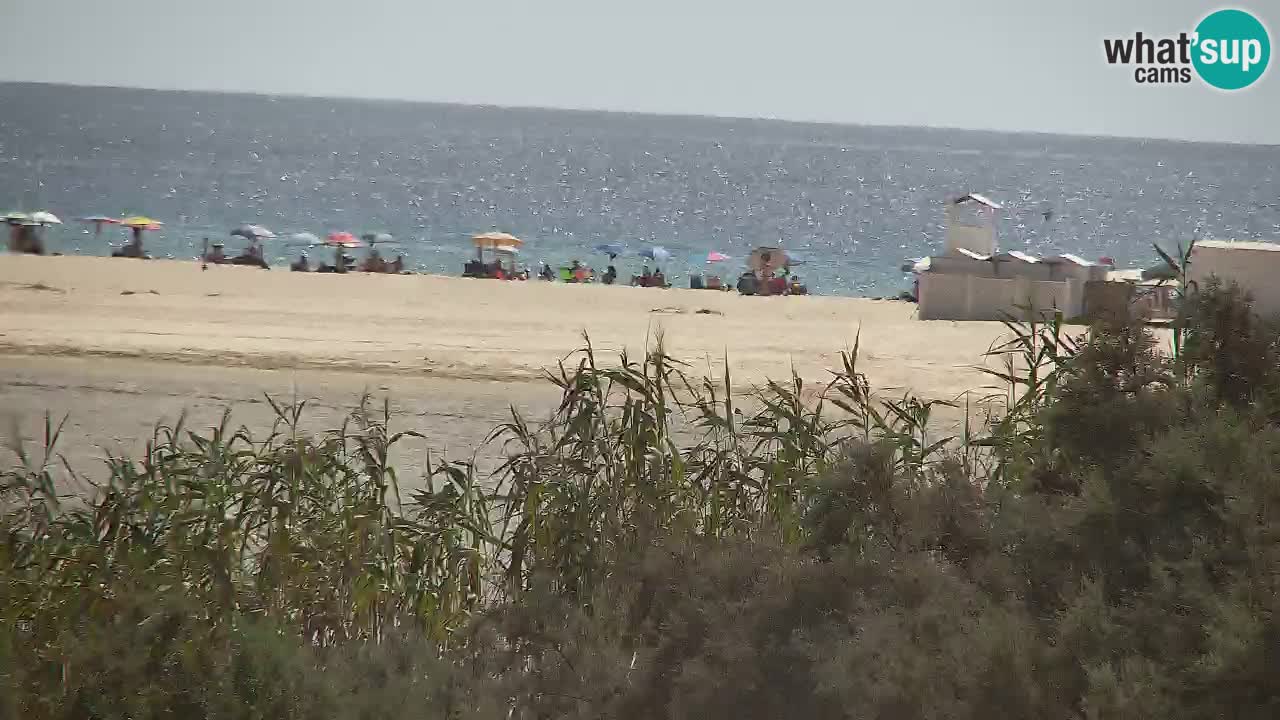 Webcam Chia – Live View of Su Giudeu Beach