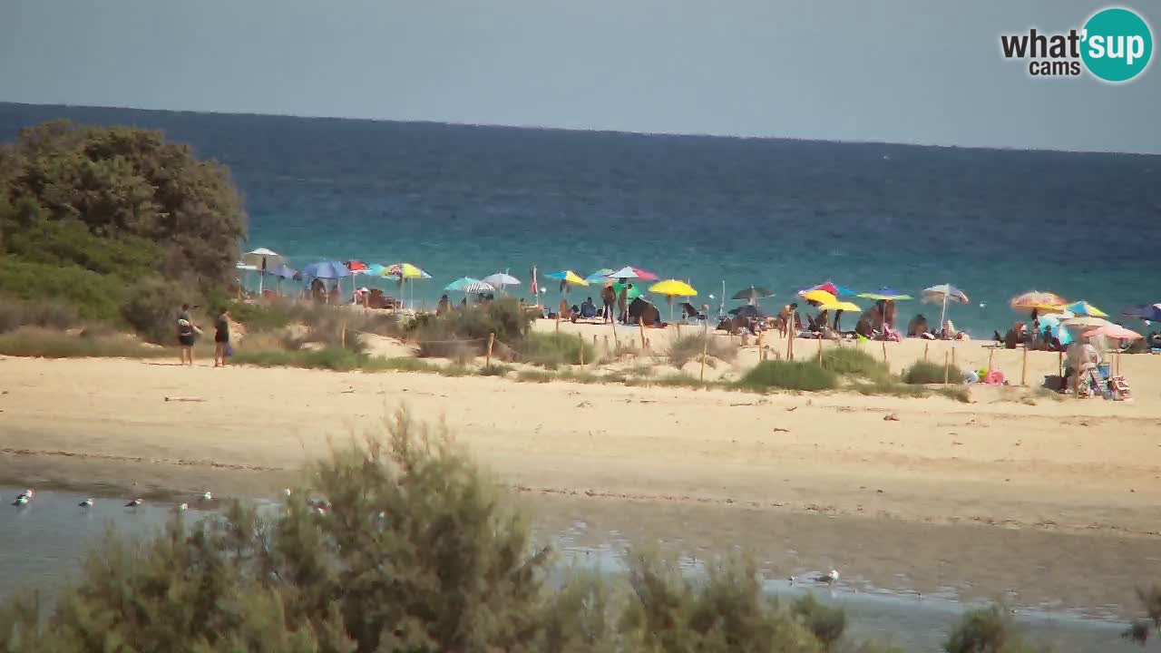 Webcam Chia – Liveblick auf den Strand Su Giudeu