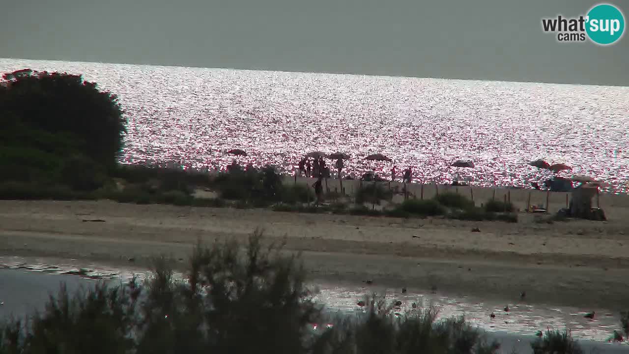 Webcam Chia – Live View of Su Giudeu Beach