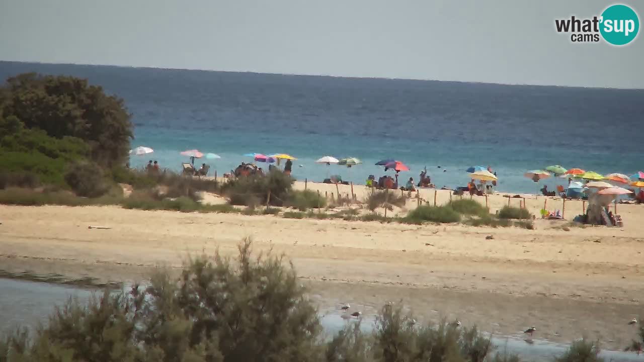 Webcam Chia – Live View of Su Giudeu Beach
